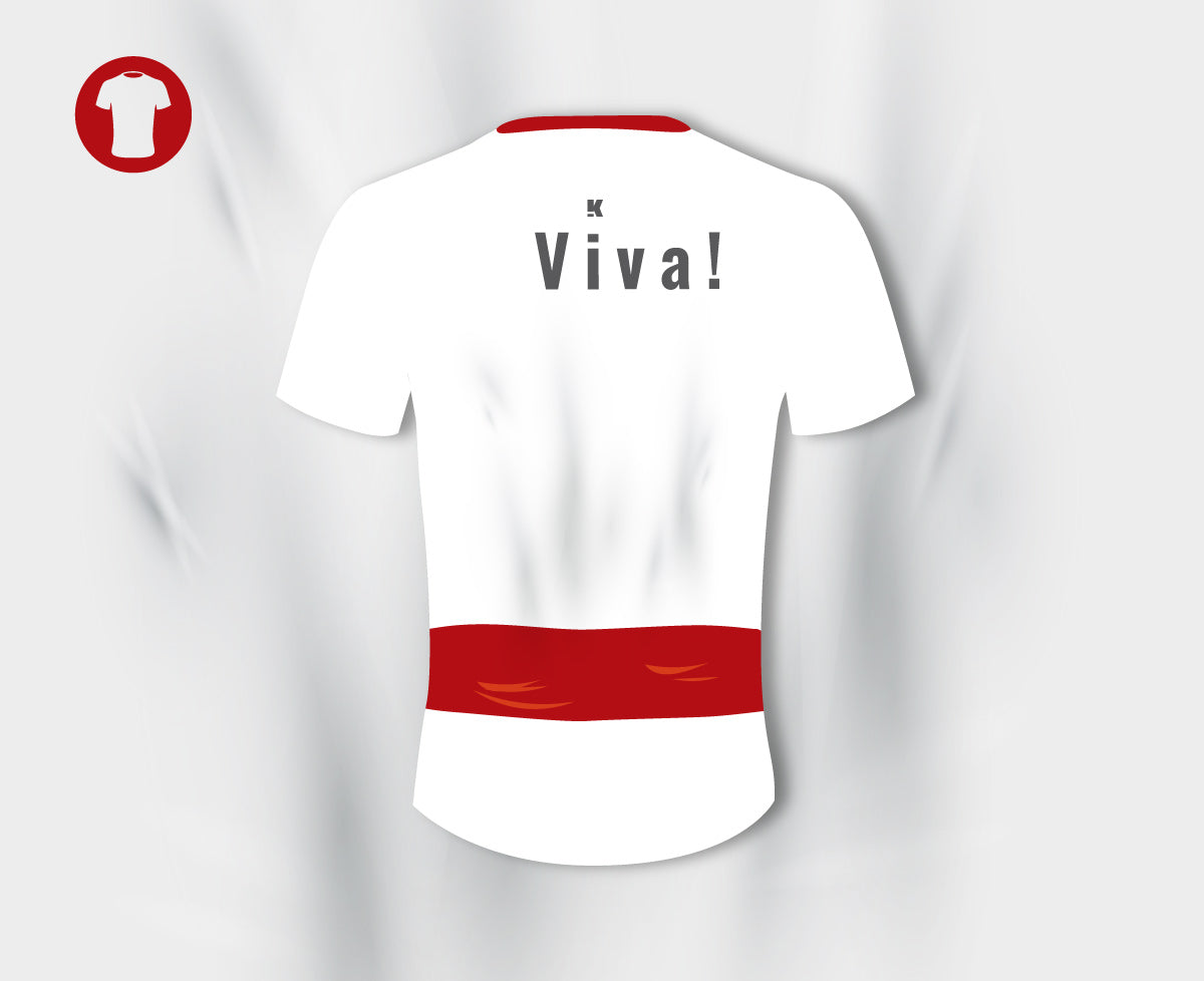 Serie SAN FERMIN